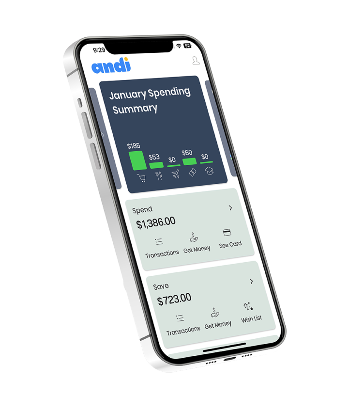 phone at an angle displaying financial summary